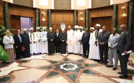شيخ الأزهر للسودانيين: حافظوا على وطنكم ووحدته ولا تتخلوا عنه