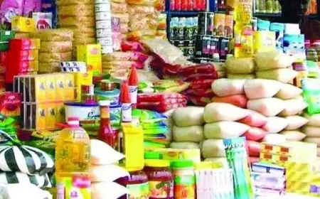 رئيس برلمانية المؤتمر بالشيوخ يدعو الحكومة لاتخاذ 3 خطوات عاجلة لمواجهة الغلاء وتعزيز الأمن الغذائي في مصر