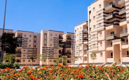 الإسكان تعلن عن اختيار 17 شركة لبناء 20 ألف وحدة سكنية لمحدودي الدخل