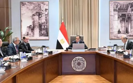 مقترحات جديدة يقدمها رئيس الوزراء لتحسين مطار العاصمة الجديدة والمنطقة المحيطة بها