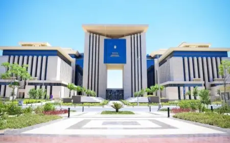وزارة الخارجية تراقب وضع المتسلل عبر الحدود مع إسرائيل بشكل دقيق
