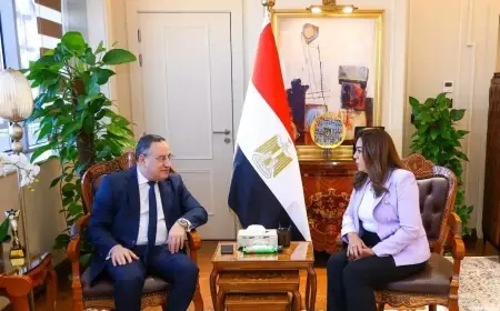 وزيرا التنمية المحلية والتعليم العالي يوقعان بروتوكولي تعاون لتعزيز تنمية الوادي الجديد