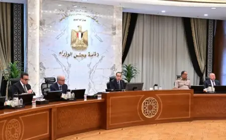 التعليم العالي يكشف عن زيادات مرتقبة لأعضاء هيئة التدريس في الجامعات قريبًا