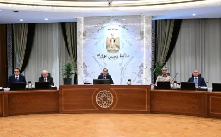 مجلس الوزراء يوافق على معايير مبادرة دعم التحول للطاقة الشمسية في القطاع الصناعي