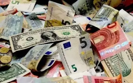بعد تثبيت الفائدة الأمريكية.. تعرف على سعر الدولار مقابل الجنيه اليوم في 10 بنوك مصرية
