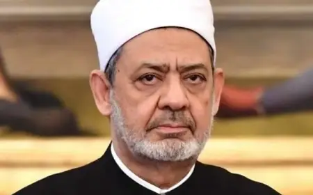 شيخ الأزهر يقدم تعازيه لإسبانيا في ضحايا حادث القطار ويدعم الأسر المكلومة