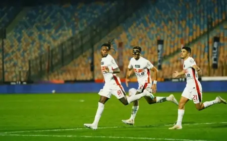 التفاصيل الكاملة كشف شيكو بانزا لحقيقة الأحداث في رواندا