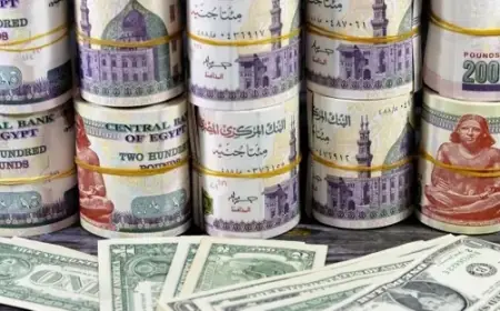 انخفاض الدولار إلى أقل من 56 جنيهًا بالبنوك اليوم الخميس