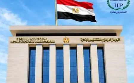 التنظيم والإدارة تعلن عن نقل 1799 موظف إلى الجهات المنتدبين إليها من مواقع عملهم الأصلية