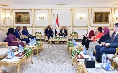 وزير الري يعزز التعاون المائي بلقاء نظيره الكونغولي وزير الطاقة والهيدروليكا