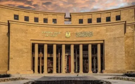 البنك المركزي المصري يعلن زيادة أسعار الفائدة بنسبة 1% لتحفيز الاقتصاد