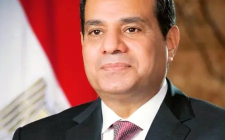 الرئيس السيسي يزور بودابست رسمياً بوصوله مطار فيرنز ليست الدولي في المجر