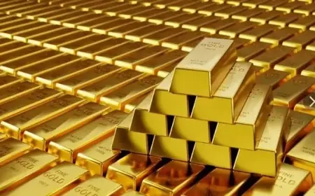 تحديث أسعار سبائك الذهب اليوم الجمعة بعد زيادة سعر الفائدة