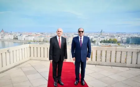 الرئيس السيسي ورئيس المجر يناقشان تعزيز التعاون في الاقتصاد والأمن والسياحة