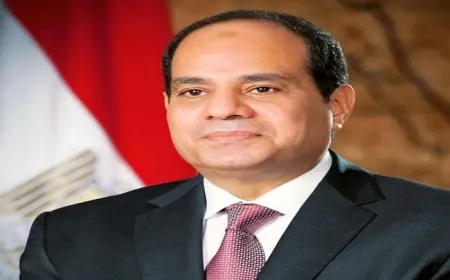 عودة الرئيس السيسي إلى الوطن بعد زيارته لروسيا والمجر