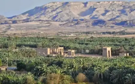 تعزيز صناعة التمور وتوفير فرص العمل من خلال مشروعات تنموية في الوادي الجديد