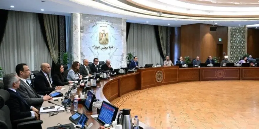 الوزراء يوافق على تخصيص أراضٍ ل43 شركة للبيع بالدولار في المدن الجديدة