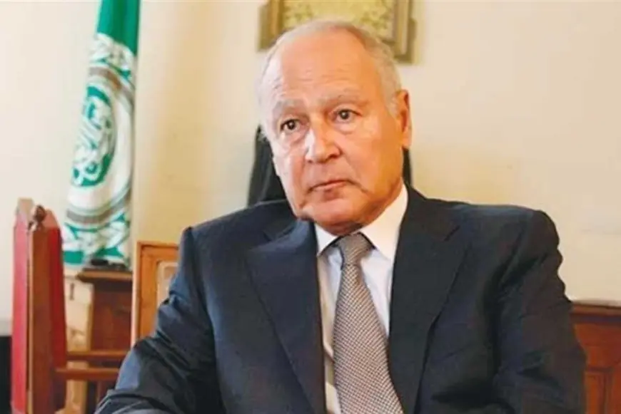 أبو الغيط يشيد بالرئيس السيسي لإنقاذه مصر من كارثة في 30 يونيو
