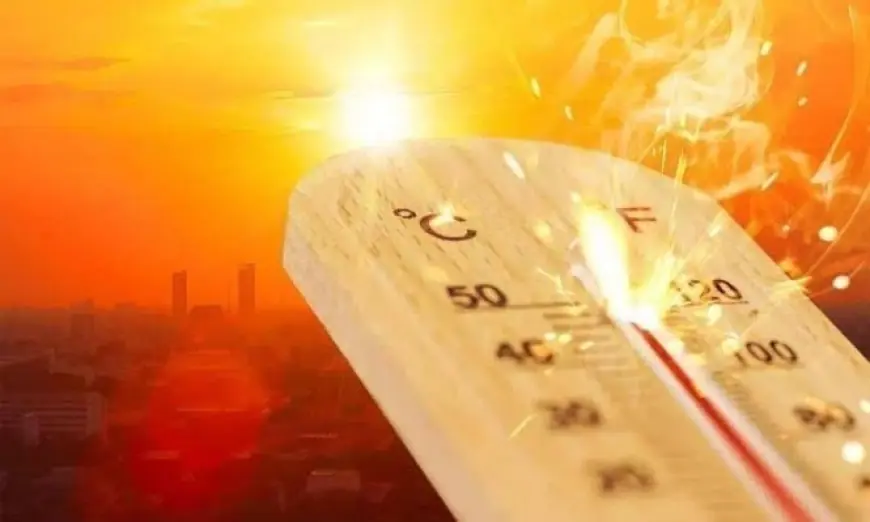 توقعات الأرصاد: أمطار متفاوتة الشدة تهطل على الإسكندرية والبحيرة وكفر الشيخ