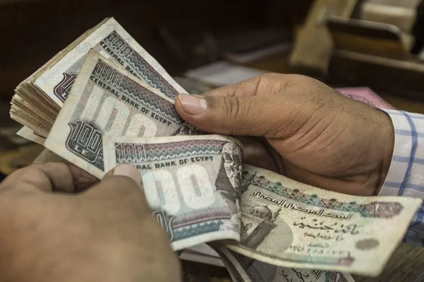 موعد صرف معاشات نوفمبر 2026 المبكر وكيفية الاستعلام