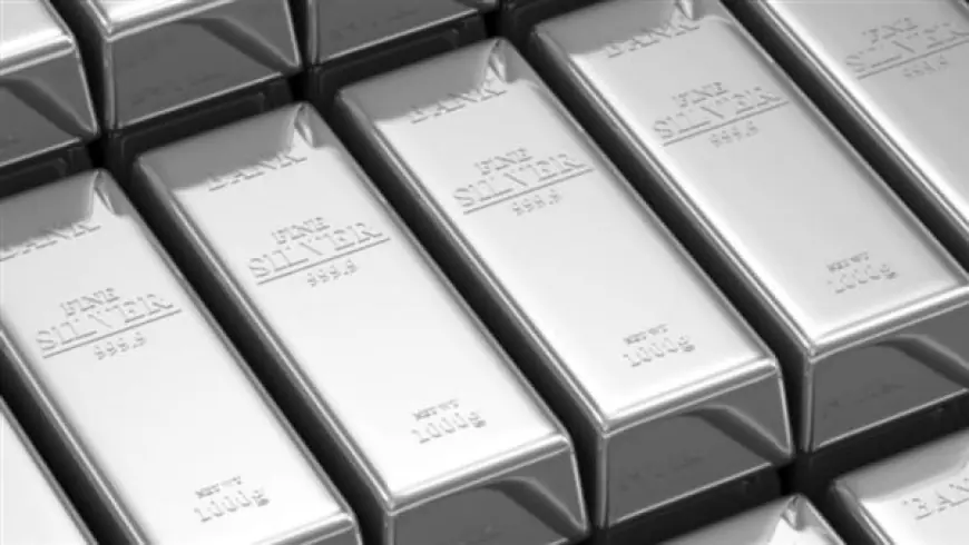أسعار سبائك الفضة في مصر اليوم الجمعة 16 أكتوبر 2026