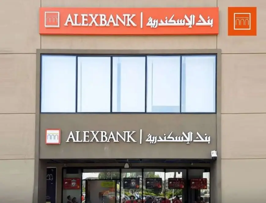 اكتشف شروط وطريقة التقديم لوظائف بنك الإسكندرية 2026
