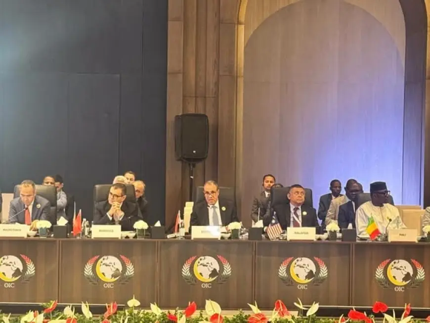 كلمة مصر المؤثرة يلقيها وزير الخارجية في اجتماعات الدورة ٥٢ لمنظمة التعاون الإسلامي