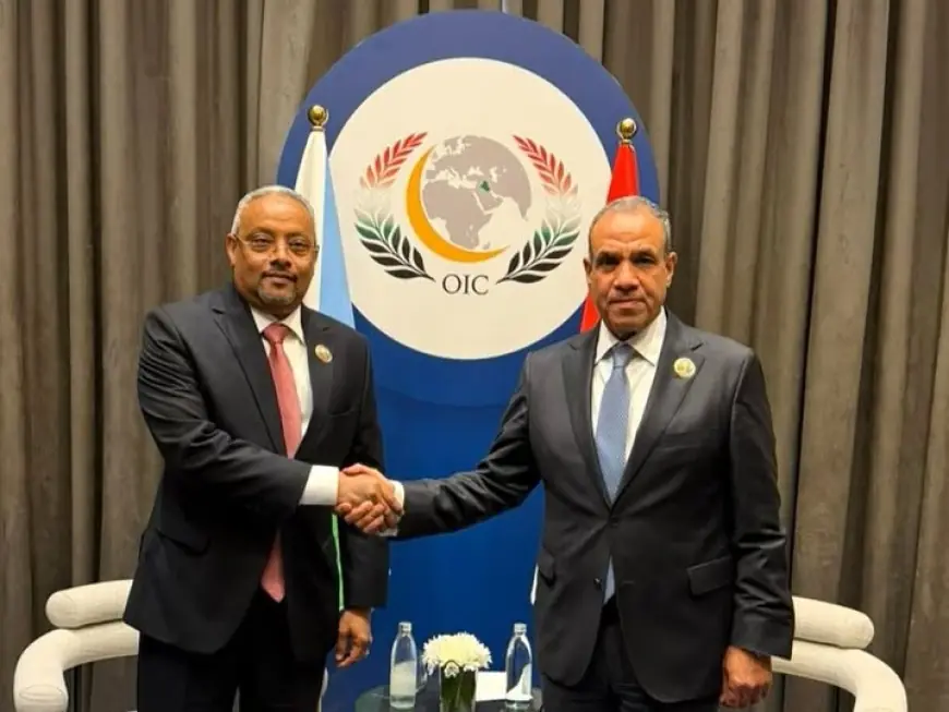 وزير الخارجية يعقد اجتماعًا مع نظيره الجيبوتي لمناقشة تعزيز العلاقات الثنائية والتطورات الإقليمية