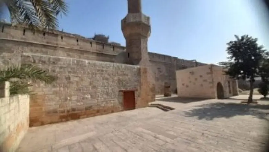 الرئيس السيسي يؤكد أهمية إحلال السلالات القديمة لزيادة الإنتاج الحيواني للمحافظين والمواطنين