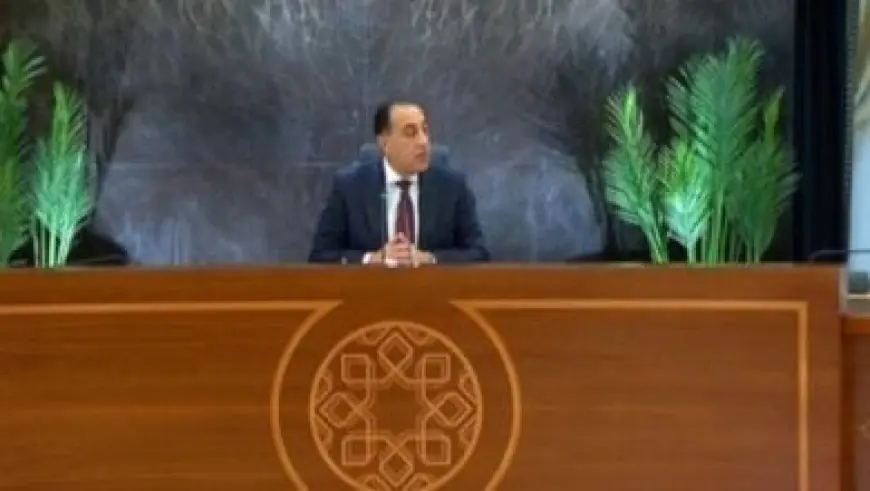 عاصم الجزار يعلن: النظام الإلكتروني لتصويت البرلمان على إرسال قوات للسعودية