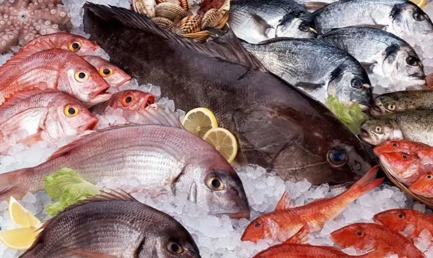 تعرّف على أسعار السمك في سوق العبور اليوم الأحد 25 أكتوبر 2026
