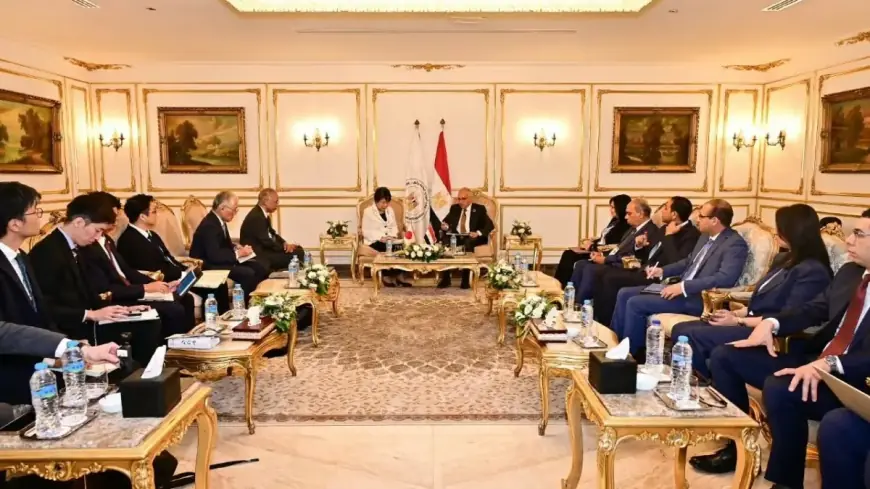 وزير الري يثني على التنسيق الفني المصري الياباني في أسبوع القاهرة التاسع للمياه