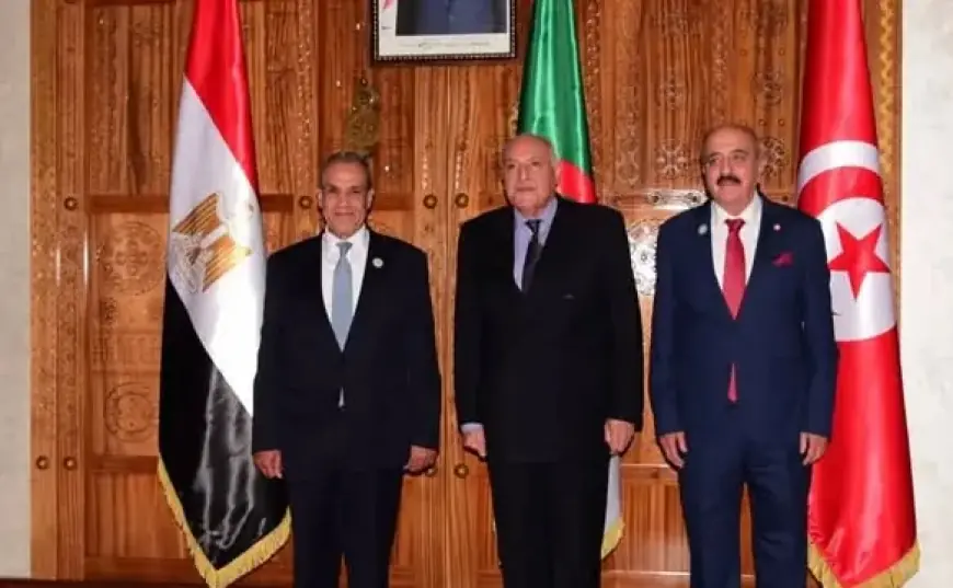 وزير الخارجية يؤكد أن أمن ليبيا هو جزء لا يتجزأ من الأمن القومي المصري والعربي