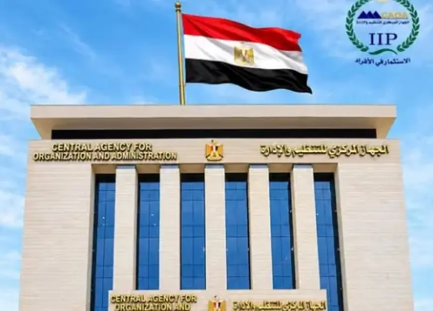 التنظيم والإدارة تعلن عن نقل 1799 موظف إلى الجهات المنتدبين إليها من مواقع عملهم الأصلية