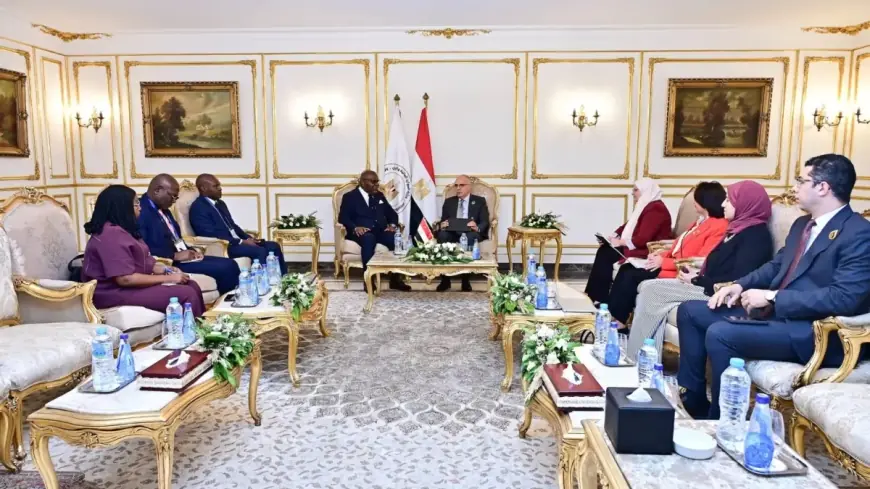 وزير الري يعزز التعاون المائي بلقاء نظيره الكونغولي وزير الطاقة والهيدروليكا