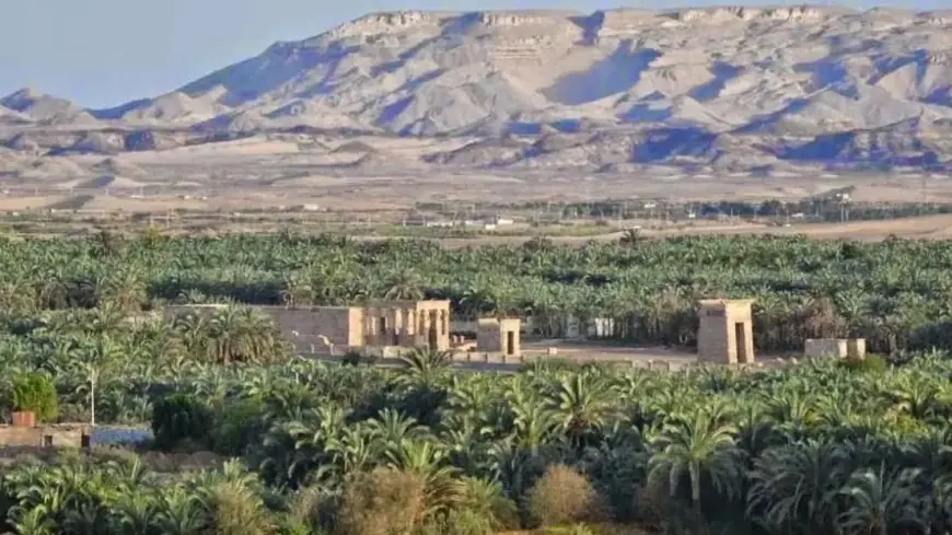 تعزيز صناعة التمور وتوفير فرص العمل من خلال مشروعات تنموية في الوادي الجديد