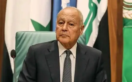 أحمد أبو الغيط يسلط الضوء على أزمة وزير الثقافة الأسبق جابر عصفور بعد 15 عاما من وقوعها