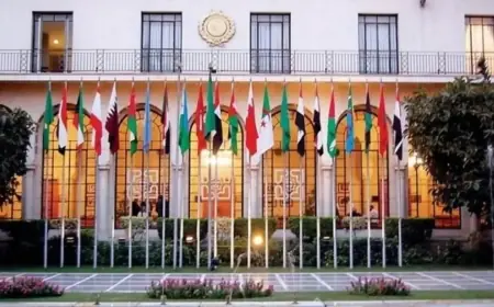 أبو الغيط يوضح أسباب الحفاظ على مقر الجامعة العربية في القاهرة وينبه: نقلها للعاصمة الجديدة يتعارض مع الميثاق
