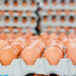 أسعار البيض في السوق اليوم الجمعة 17 فبراير 2023