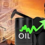 ارتفعت أسعار النفط بنسبة 2٪ عالميًا ، وبلغ سعر خام برنت 82.21 دولارًا للبرميل.