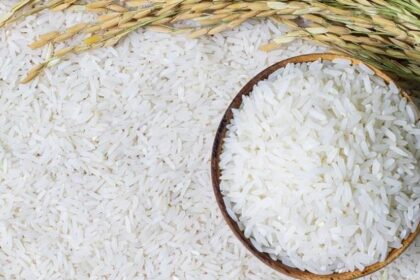 الاستمرار في توريد الأرز الأبيض الممتاز بأسعار مخفضة لمعرض إرلانج الرمضاني بدمياط