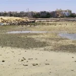 الحكومة تنفي انحسار المياه من بعض الشواطئ وتوقع اندلاع تسونامي