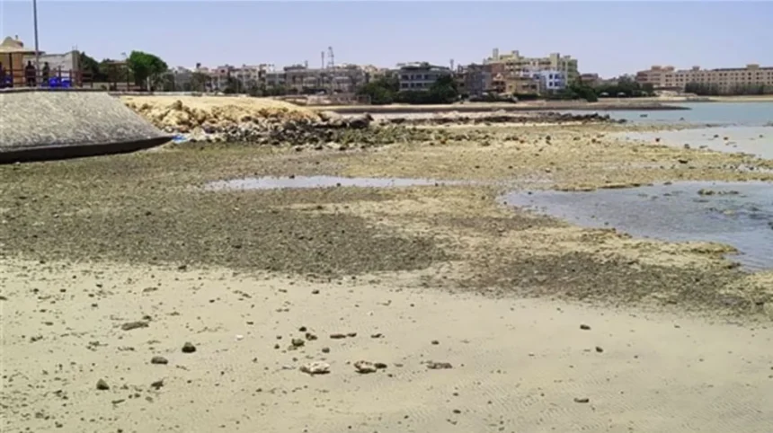 الحكومة تنفي انحسار المياه من بعض الشواطئ وتوقع اندلاع تسونامي