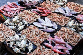 وصل سعر سمك البوري اليوم السبت في سوق العبور إلى 80 جنيهاً استرلينياً
