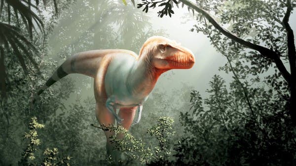 هكذا كان شكل الديناصورات.. دراسة حديثة تنسف المتداول