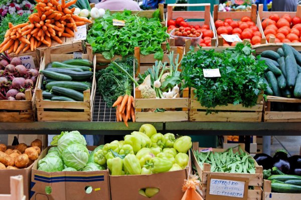 أسعار الخضروات والفاكهة في سوق العبور.. الكوسة بـ7 جنيهات