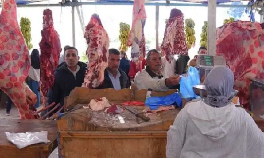 أماكن بيع اللحوم التشادية الطازجة في مصر.. بنصف سعر البلدي