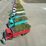 زراعة آلاف الأشجار بمدن كفر الشيخ ضمن مبادرة 100 مليون شجرة