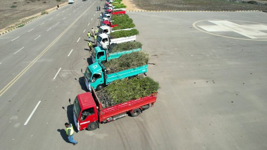  زراعة آلاف الأشجار بمدن كفر الشيخ ضمن مبادرة 100 مليون شجرة