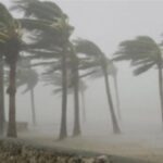 الأرصاد الجوية: رياح قوية وغبار ورمال تضرب أسيوط من المنيا